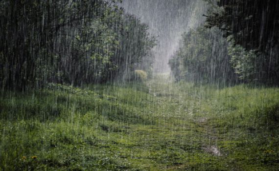 גשום וסוער; קור, רוחות והצפות: תחזית מזג אוויר