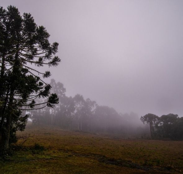 השירות המטאורולוגי מעדכן: "לראשונה מאז הסופה קורל"