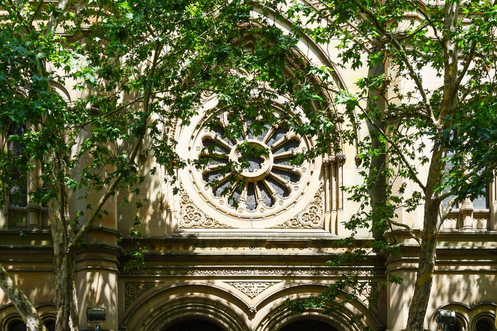 בעקבות הפיגוע: בוטלו כל אירועי החג בסידני, בתי הכנסת יסגרו