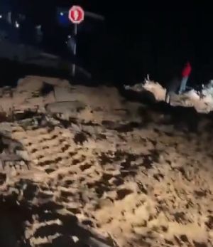 שבוע אחרי הסלילה: צה"ל הרס את כביש הרוחב הפלסטיני