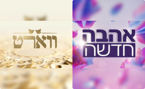 "איפה אהבה חדשה ואיפה ווארט": המתקפה על רשת 13