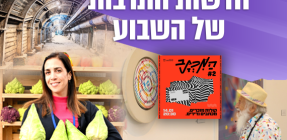 דרך עולי הרגל נחשפת, הערבה פורחת מחדש: חדשות תרבות לשבוע