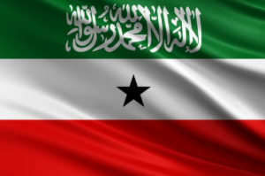 סומלילנד הואשמה בהסכמה להגירת עזתים, זאת תגובת הממשלה