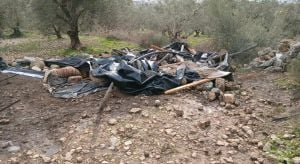 "בזמן שהטרור חוגג": כוחות צה"ל ומשטרה פינו גבעה בשומרון