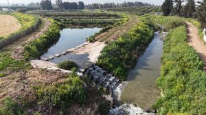 נבלם זיהום נחל אלכסנדר ממסיק הזיתים ברשות הפלסטינית