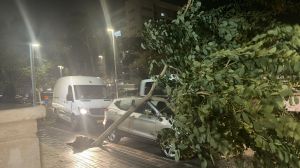 נזקי מזג האוויר: בת 47 נפגעה מחפץ שעף ברוח, מבנה קרס בנהריה