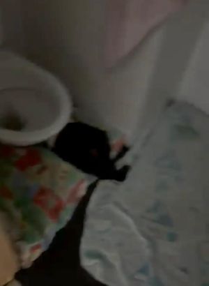 תיעוד מחריד: תינוק ישן מתחת לאסלה במעון ברוממה