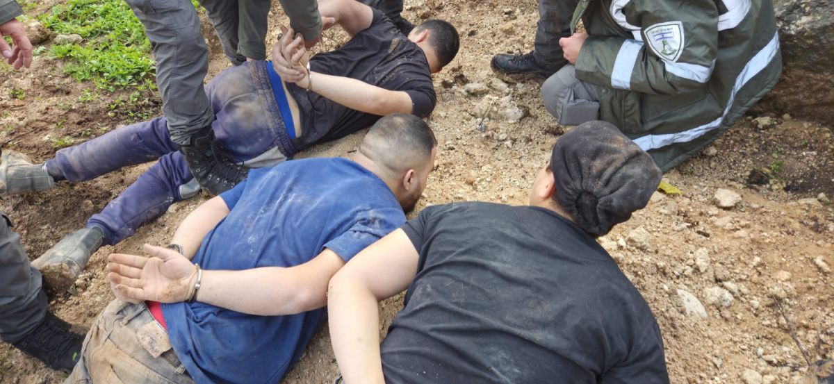 שודדי עתיקות נתפסו בזמן אמת וטענו: "יצאנו לקטוף פטריות"