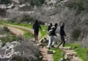 עשרות פורעים ערבים תקפו תושבים צפונית לקדומים