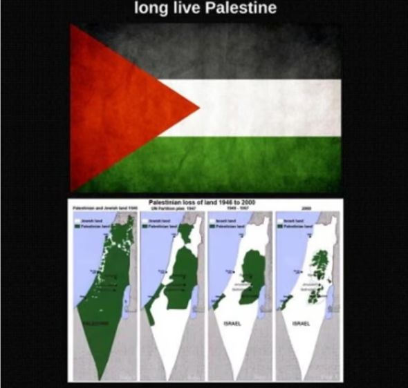 בוקר מבהיל: הזמרת שחשבונה נפרץ על ידי פרו-פלסטינים