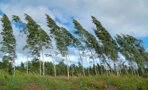 השירות המטאורולוגי: זה מה שיקרה בשעות הקרובות
