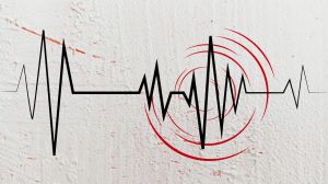 אחרי רעידת האדמה בשבוע שעבר: כונסה ועדת שרים למוכנות אזרחית