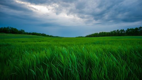 השירות המטאורולוגי בעדכון דחוף: האיזור שהכי מסוכן להיות בו