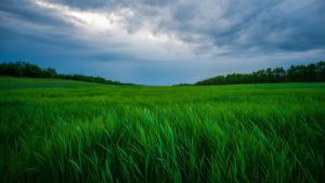 השירות המטאורולוגי בעדכון דחוף: האיזור שהכי מסוכן להיות בו