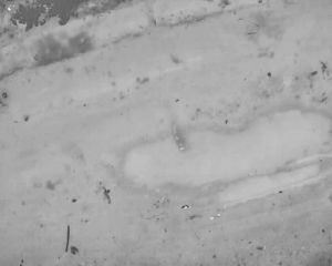 במהלך פעילות במחנה הפליטים ביו"ש: הכוחות פוצצו מטענים | צפו