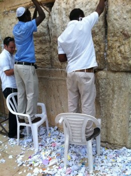 3-העובדים מנקים את הקוויטלאך. צילום - יוסי בן דוד - סוכנות הידיעות ''חדשות 24''