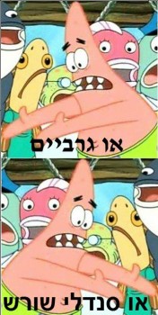 418427_416474555065400_81362961_n