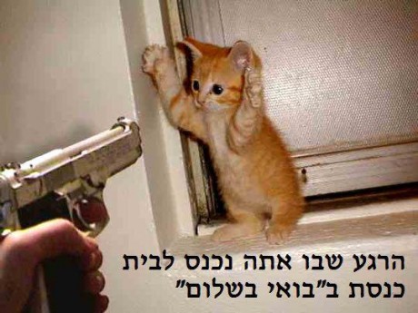 488252_419019221477600_697483206_n