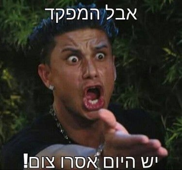 Yonatan Deutsch + Uriel Schachter + Yuval Albeck