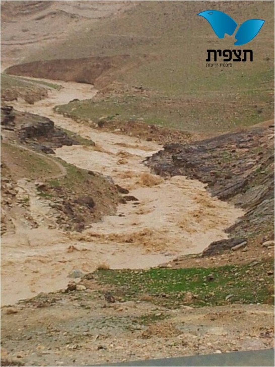 10 _____ ___ ____ - _____ ____ ______ _____