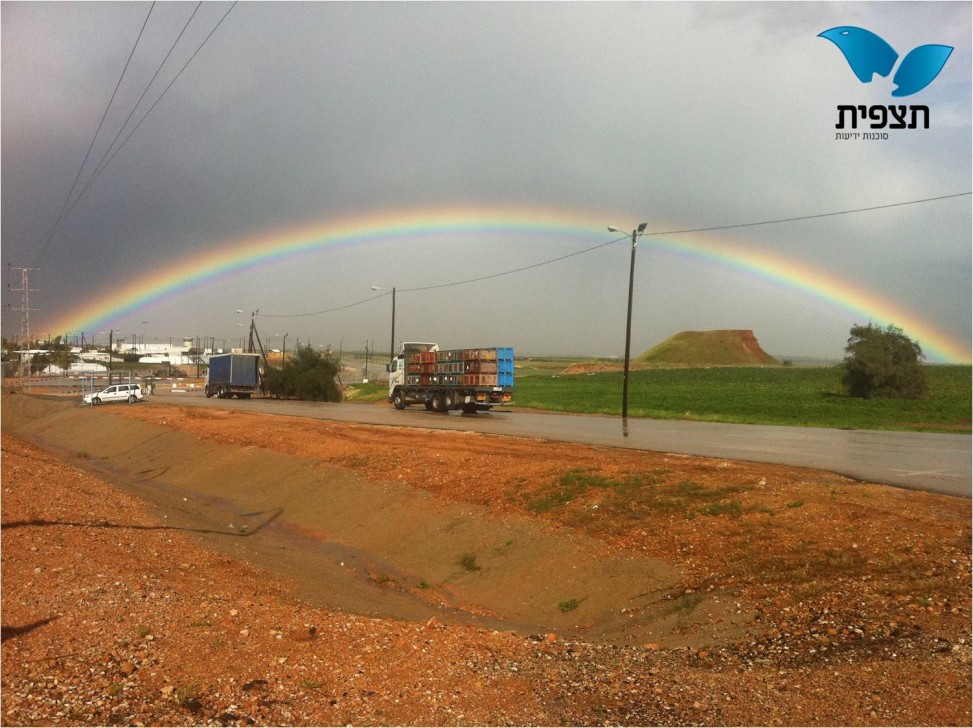 17 ____ _____ - ___ _____ ______ _____