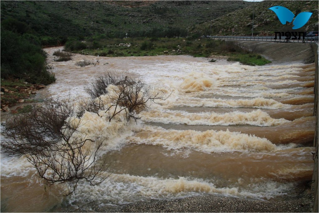 19 ___ ____ - ____ ______ ______ _____