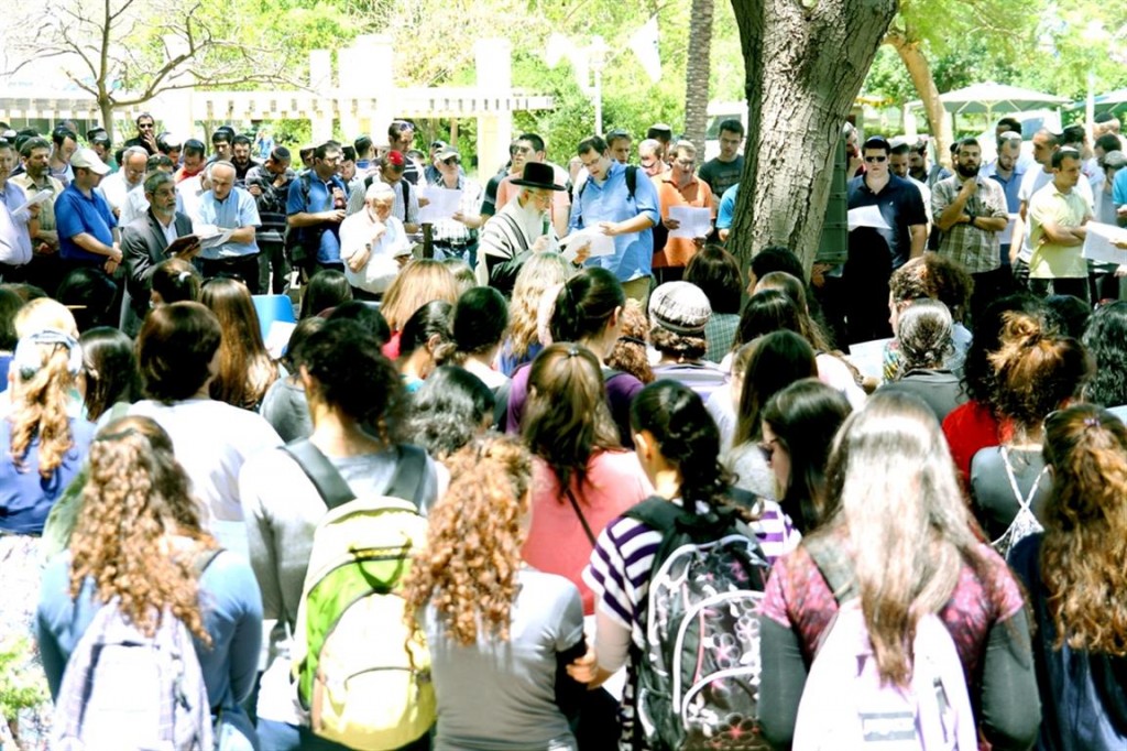 IMG_3736 (1) (Medium)