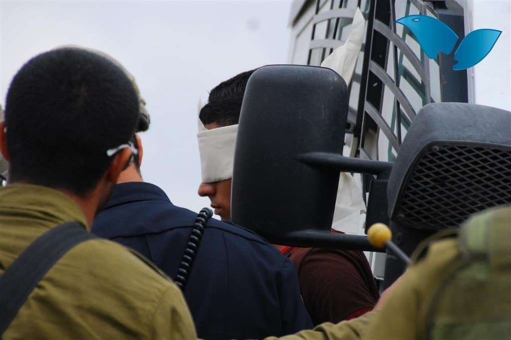 IMG_20140810_113154 (Medium)