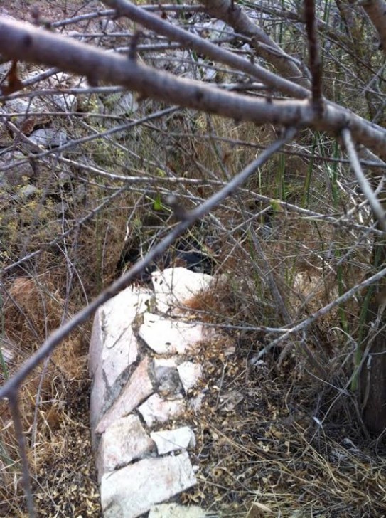 זירת מציאת הגופה