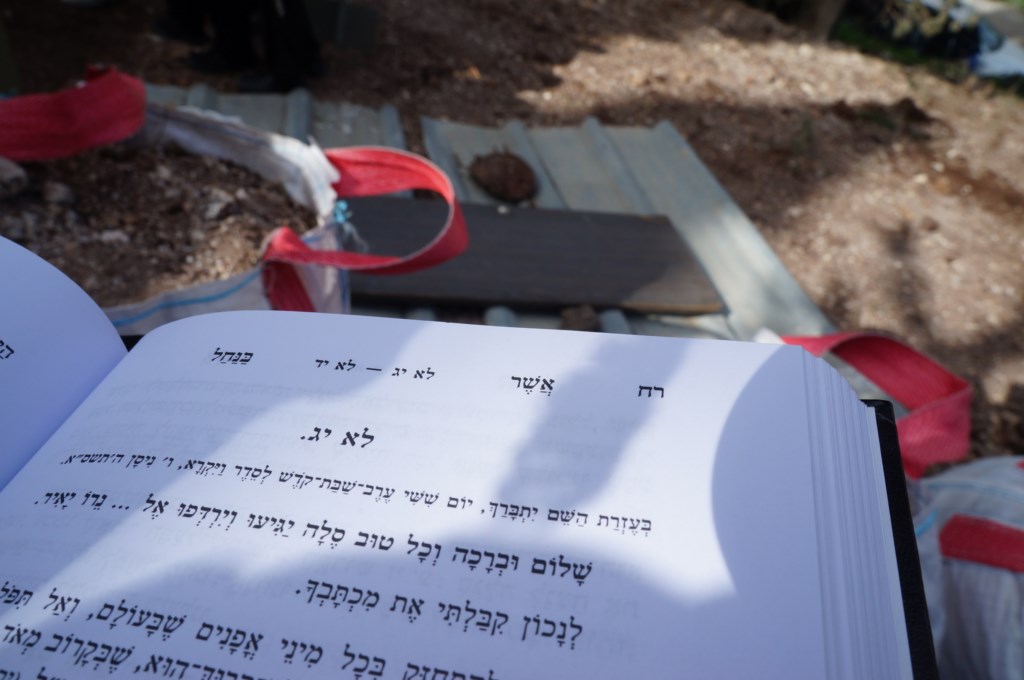 _____ ___ _____ ____ (8)