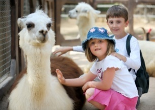 מרכז חוויות