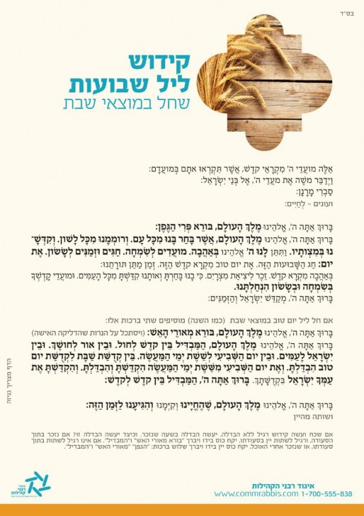 WhatsApp-Image-20160609 (1)