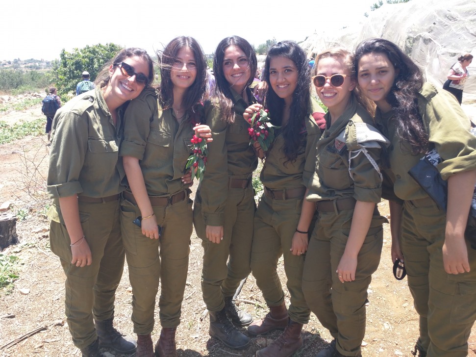 קטיף דובדבנים MARBU (1)