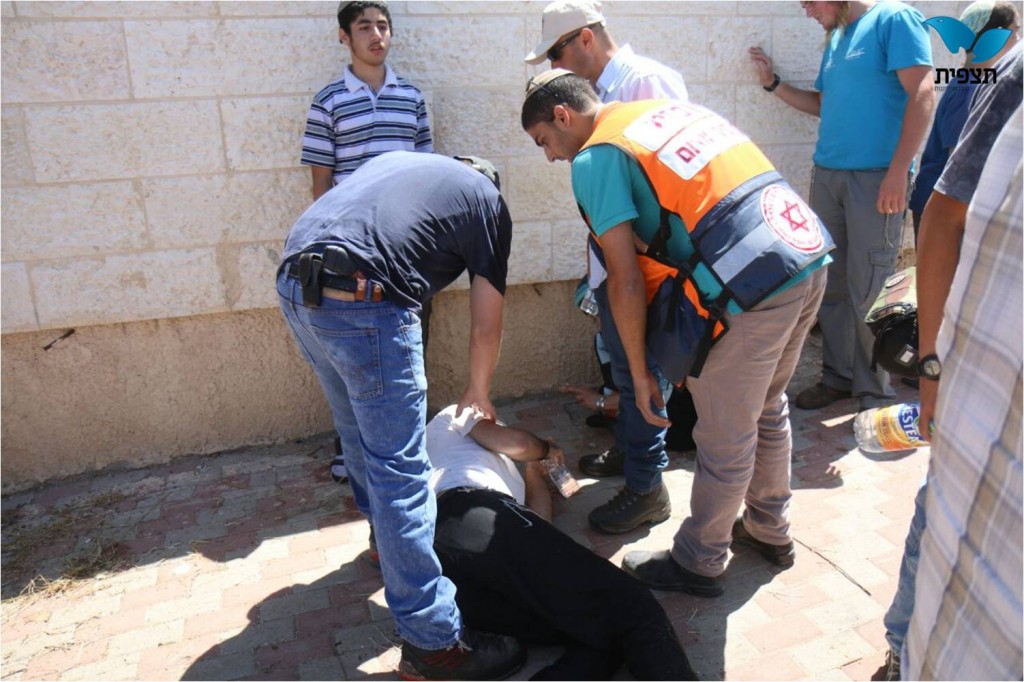 הלל מאיר תצפית (3)