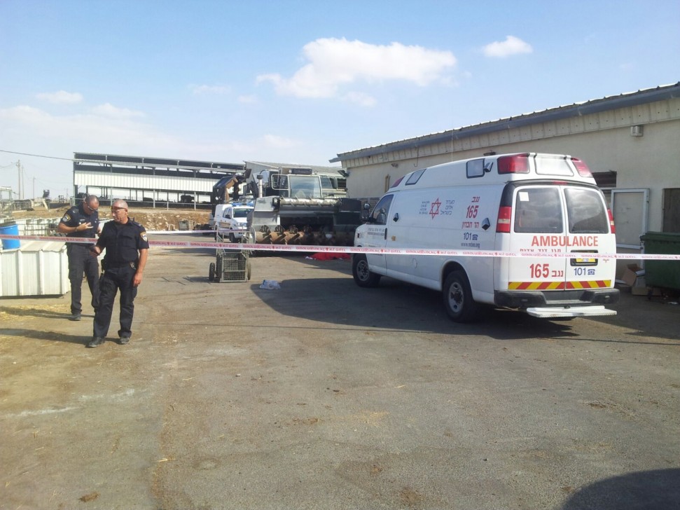 AqOrdVN1ihIhTlnXOoqH-17Ii1Ruj1WY9jg3hApNq6kx