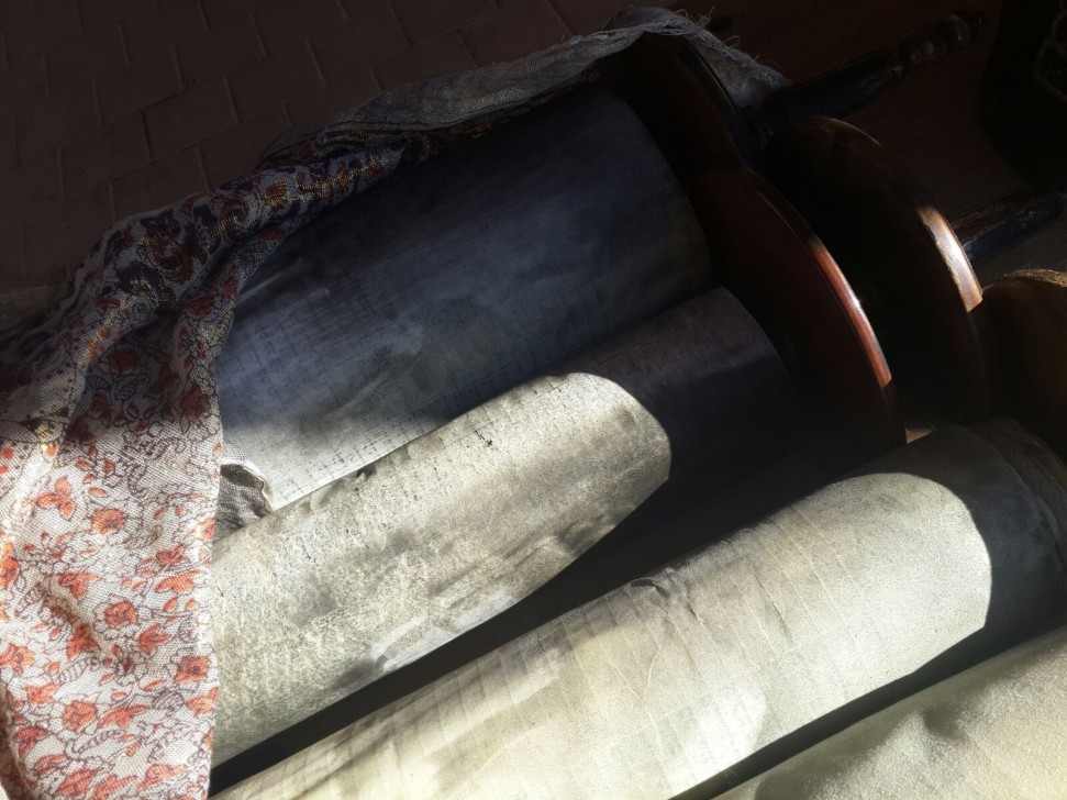 ליבנה הר חברון (2)