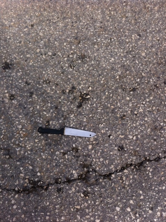 מועצה אזורית שומרון (2)