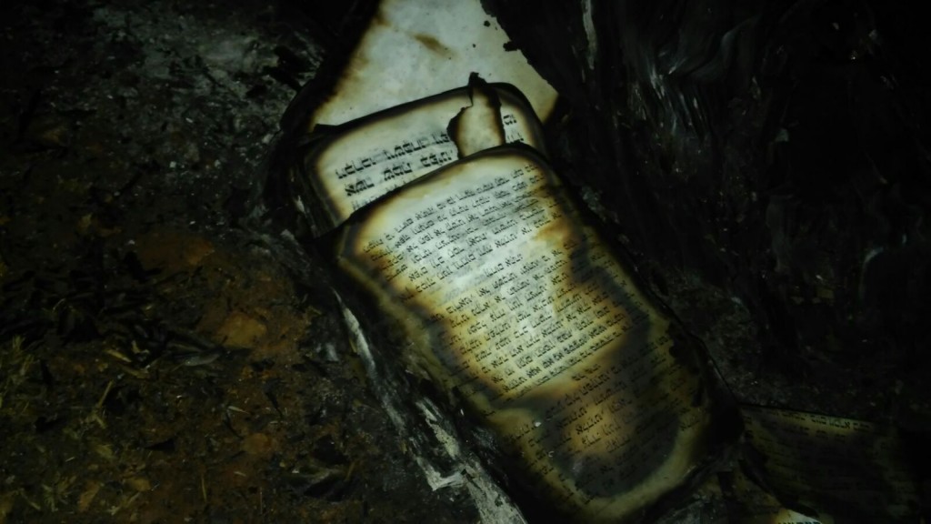 בטחון כרמי צור (5)