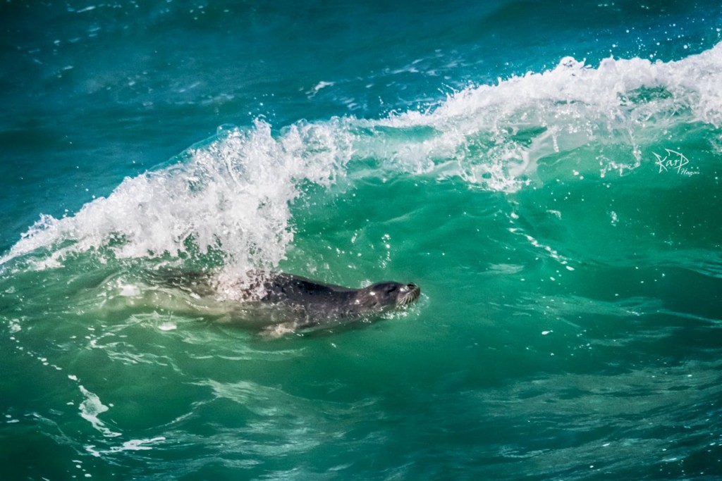 IMG-20160316-WA0049_1458147192058