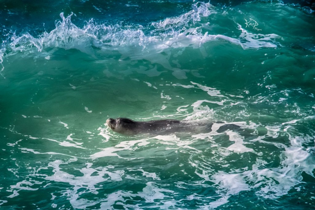 IMG-20160316-WA0050_1458147192111