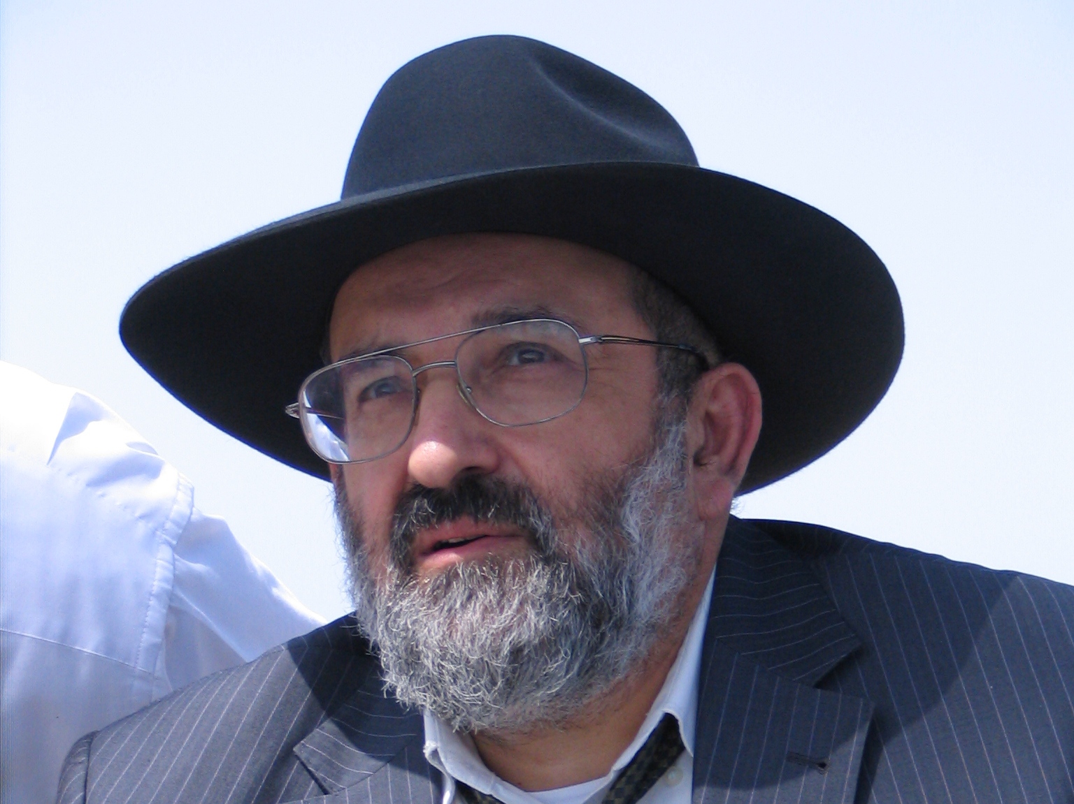 לא עלינו לארץ בגלל ציונות / הערה לשרת הקליטה