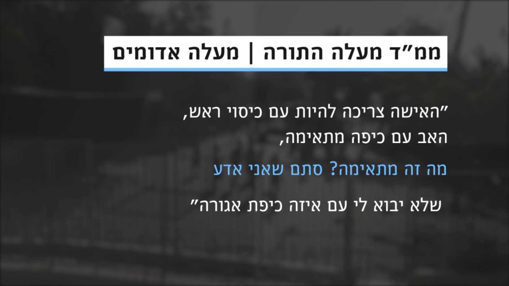 schools_17.12.15.mp4_000030562