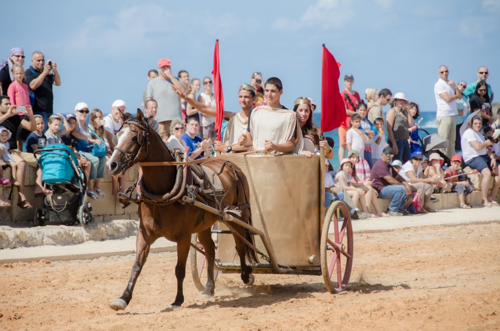 סוסים בהיפודרום - צופית דמרי (4)