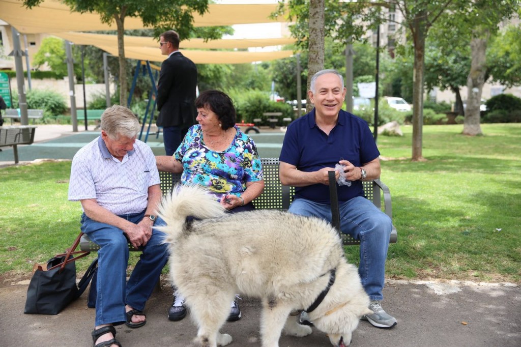 WhatsApp-Image-20160513 (5)