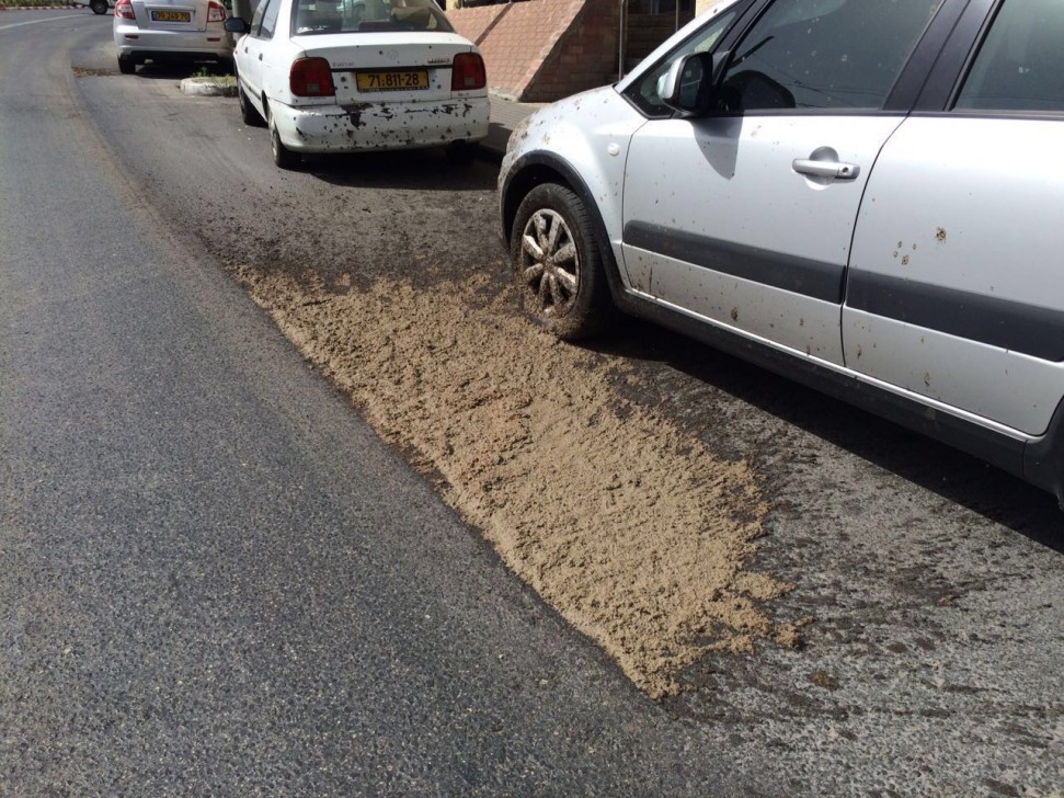 WhatsApp-Image-20160517 (2)