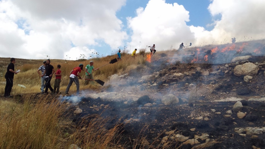 WhatsApp-Image-20160529 (2)