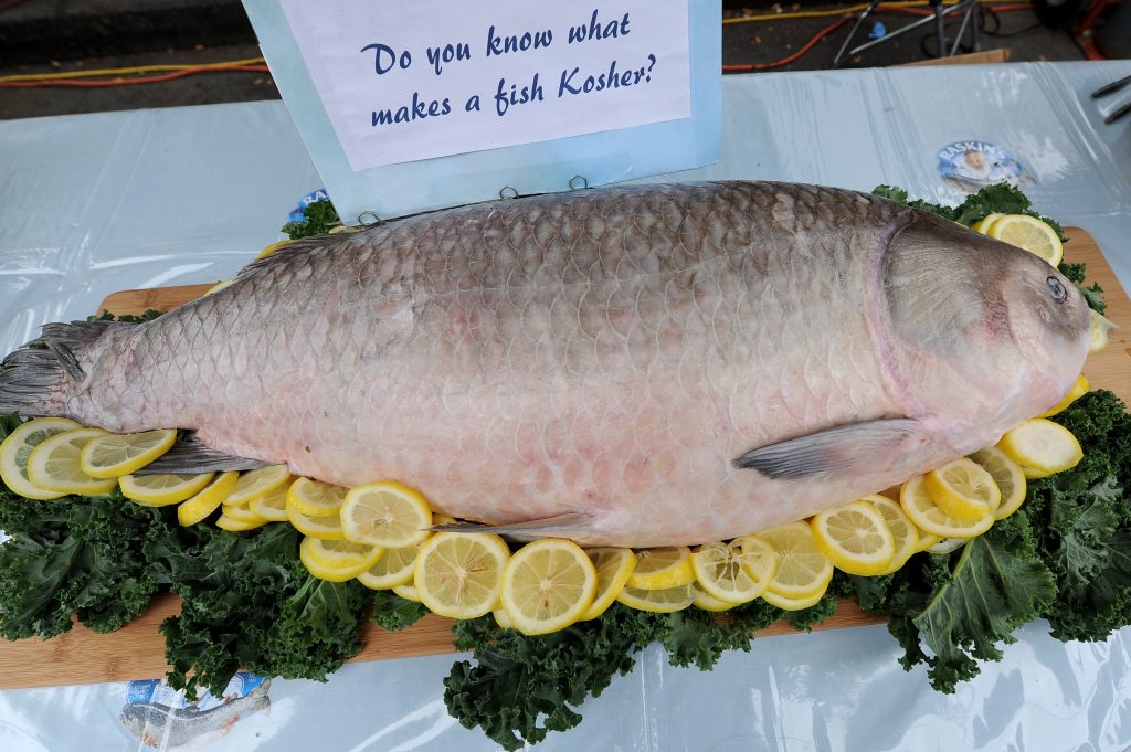 A fish exhibited at a fair selling kosher products, judaica and israeli items, in the streets of Brooklyn, New York City, USA. October 06, 2013. Photo by Mendy Hechtman/FLASH90 *** Local Caption *** ðéå éåø÷ áøå÷ìéï úòøåëåú ëùøåú àøöåú äáøéú ãúéí çøãéí ëùø ãâ
