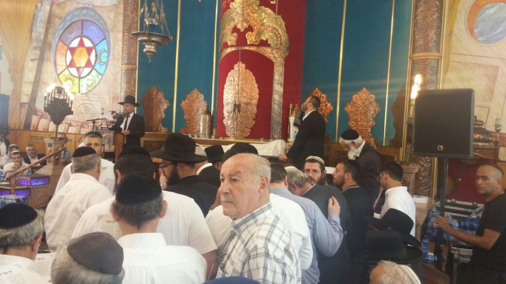 WhatsApp-Image-20160608 (3)