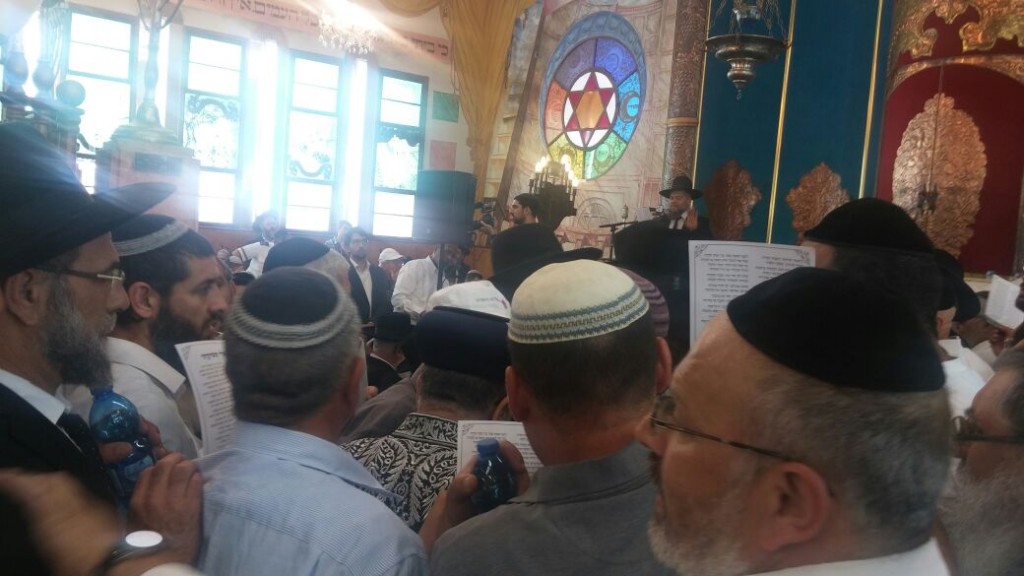 WhatsApp-Image-20160608 (4)