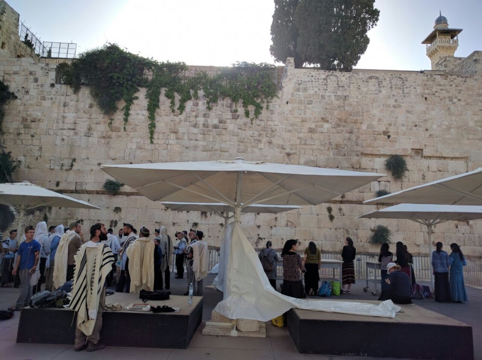 WhatsApp-Image-20160614 (2)